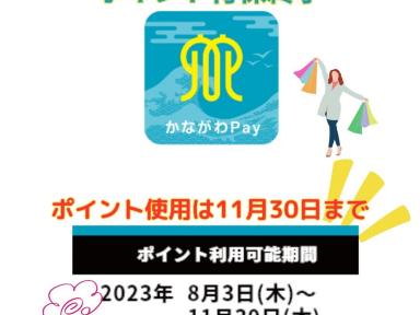 かながわｐａｙポイント付保終了